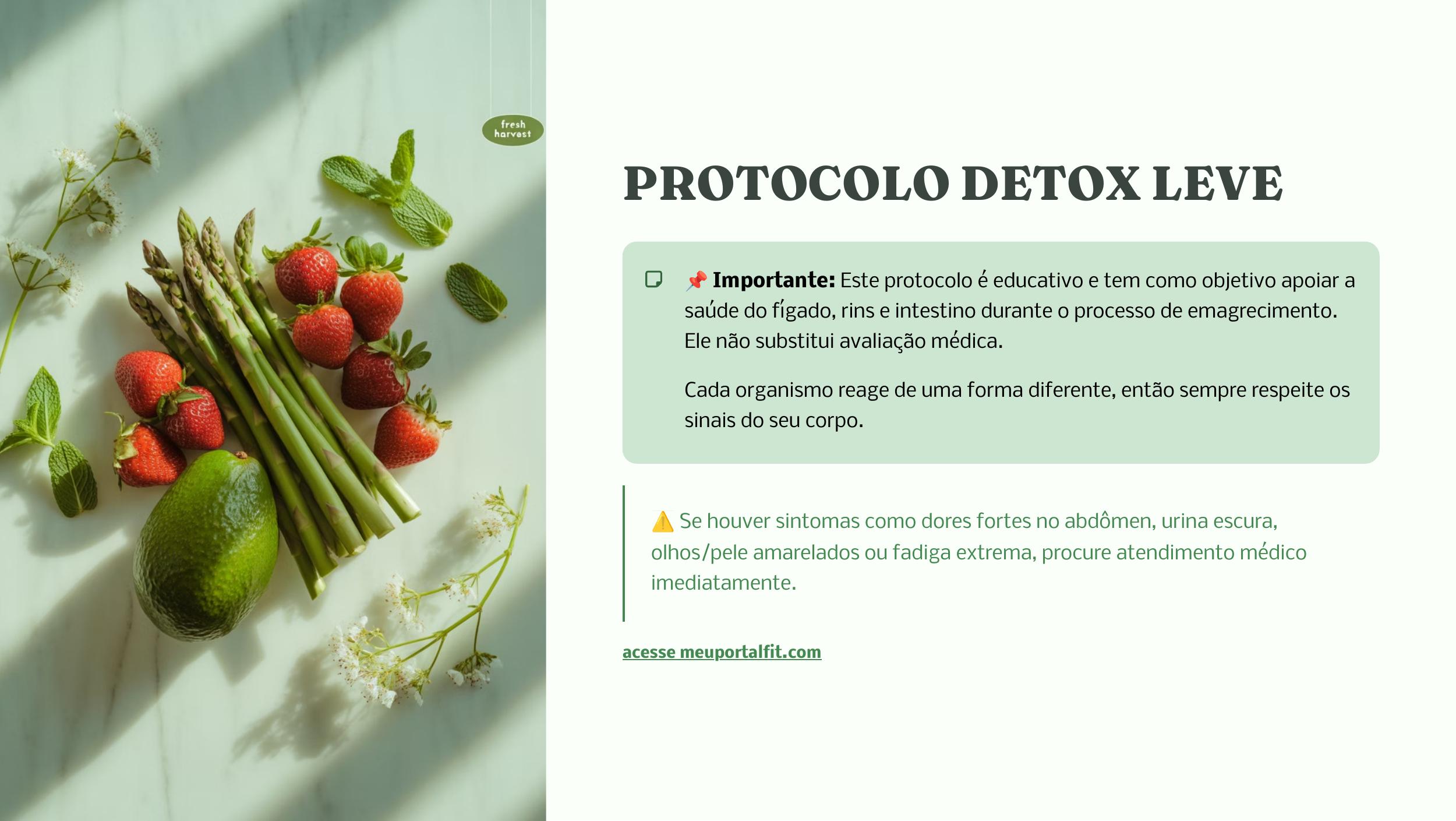 Protocolo Detox Leve