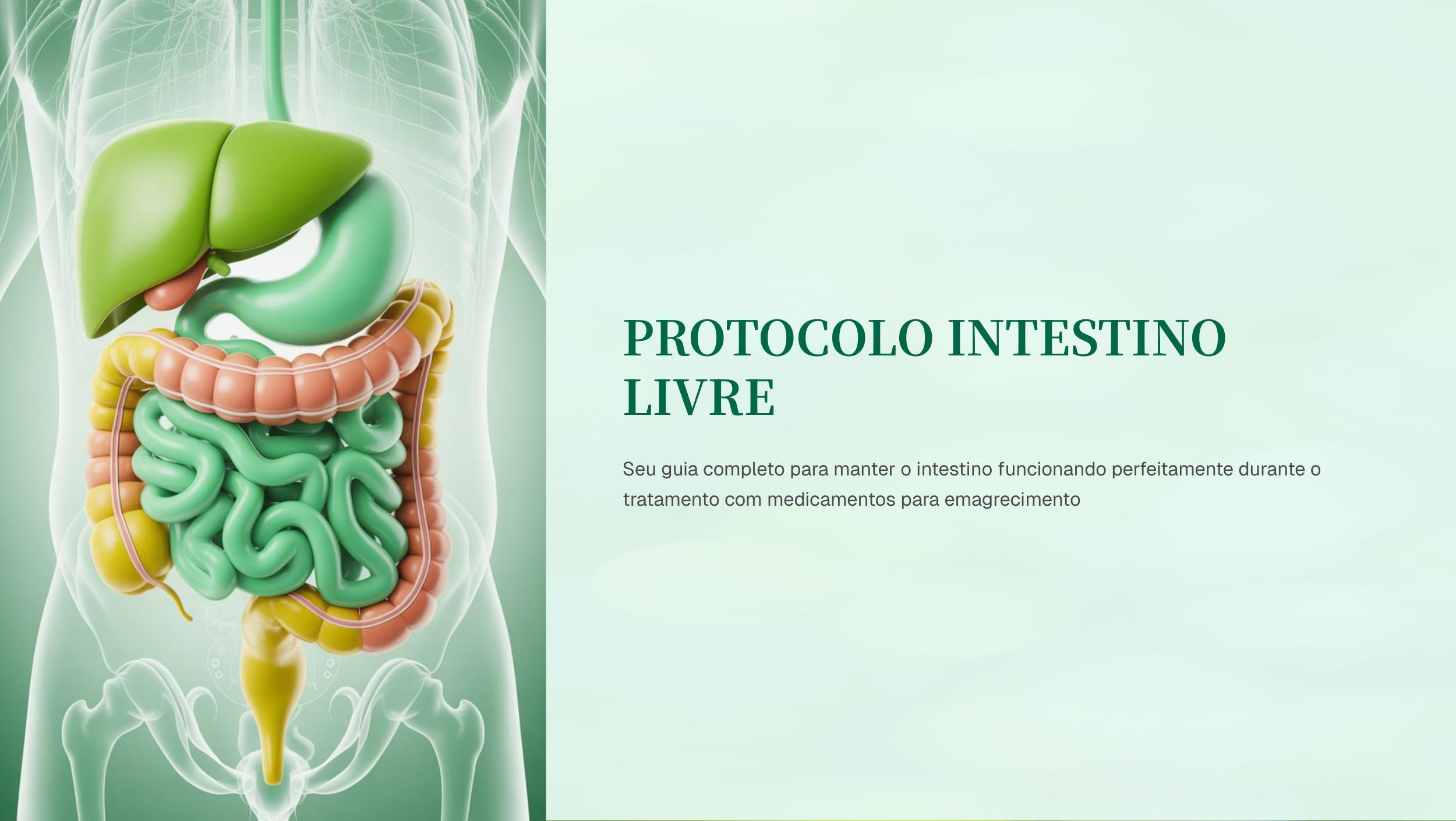 Protocolo Intestino Livre